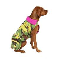 Read Paws in Padstow Reviews